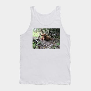 Scottish Highland Cattle Calf 1499 Tank Top